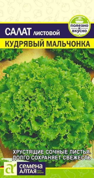 Салат листовой Кудрявый Мальчонка SA 0,5г