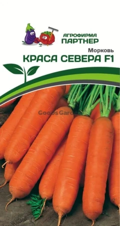Морковь КРАСА СЕВЕРА F1 0,5г