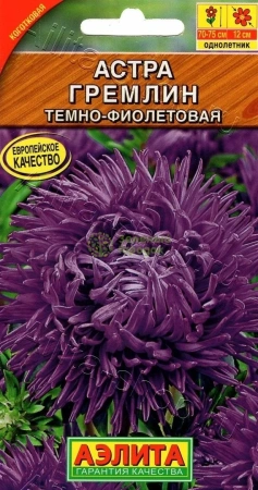 Астра Гремлин темно-фиолетовая АЭ 0,2г