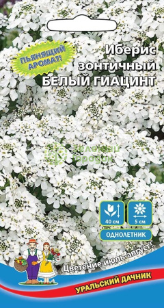 Иберис зонтичный Белый Гиацинт УД 0,15г