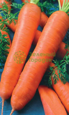 Морковь Королева Осени (Марс) белый пакет 1500шт