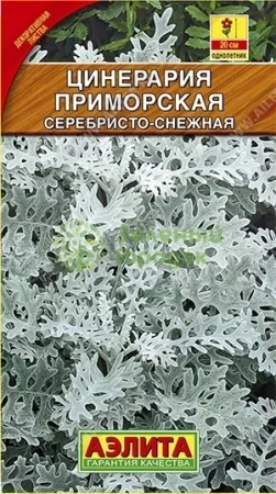 Цинерария приморская Серебристо-снежная АЭ 0,1г