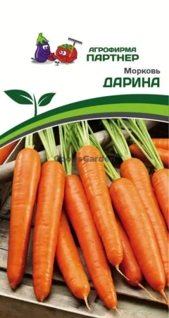 Морковь ДАРИНА 1г