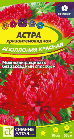 Астра хризантемовидная Аполлония Красная SA 0,2г