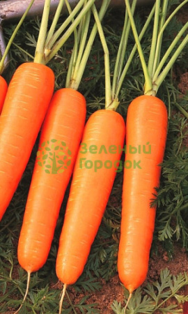 Морковь Нантская без сердцевины (Марс) белый пакет 1500шт
