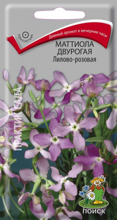 Маттиола двурогая Лилово-розовая (0,3 г)