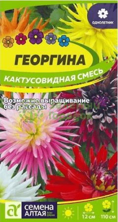 Георгина Кактусовидная смесь SA (0,1 г)