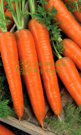 Морковь Флакке (Марс) белый пакет 1500шт