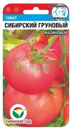 Томат Сибирский грунтовый малиновый (20 шт)