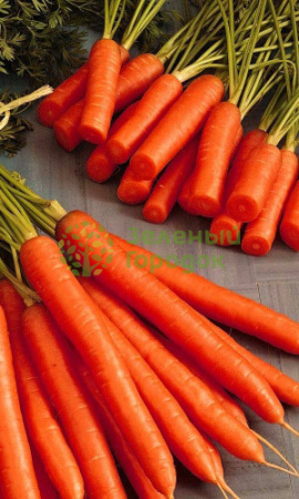 Морковь Амстердамская (Марс) белый пакет 1500шт