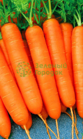 Морковь Роял Форто (Марс) белый пакет 1500шт