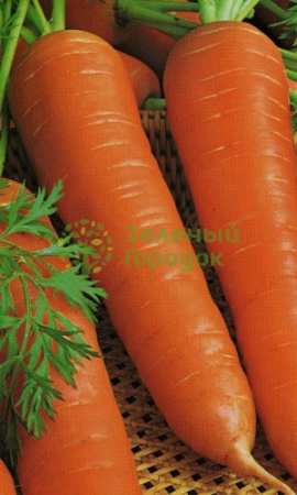 Морковь Лосиноостровская 13 (Марс) белый пакет 1500шт