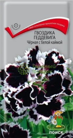 Гвоздика Геддевига Черная с белой каймой (ЦВ) 0,04г