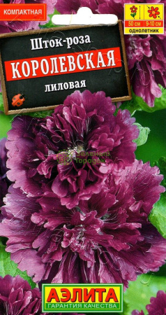 Шток-роза Королевская лиловая АЭ 0,1г