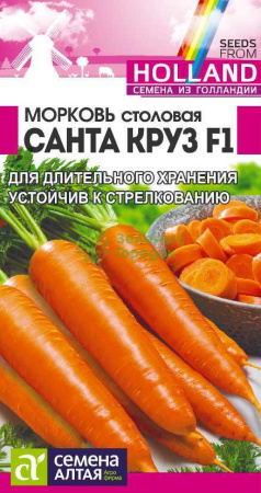 Морковь Санта Круз F1 Seminis (Голландские Семена) SA 0,3г