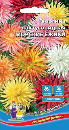 Георгина кактусовидная Морские Ежики (УД) Е/П 0,2 г