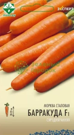Морковь Барракуда F1 столовая Нидерланды 0,3г (Эксперт)