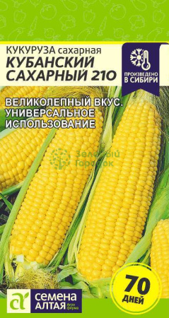 Кукуруза Кубанский Сахарный 210 SA 5г